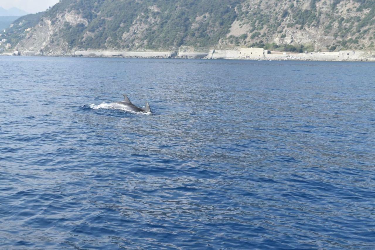 Tavernetta 109 Terrazza Tra Le 5 Terre E Portofino Deiva Marina Eksteriør billede