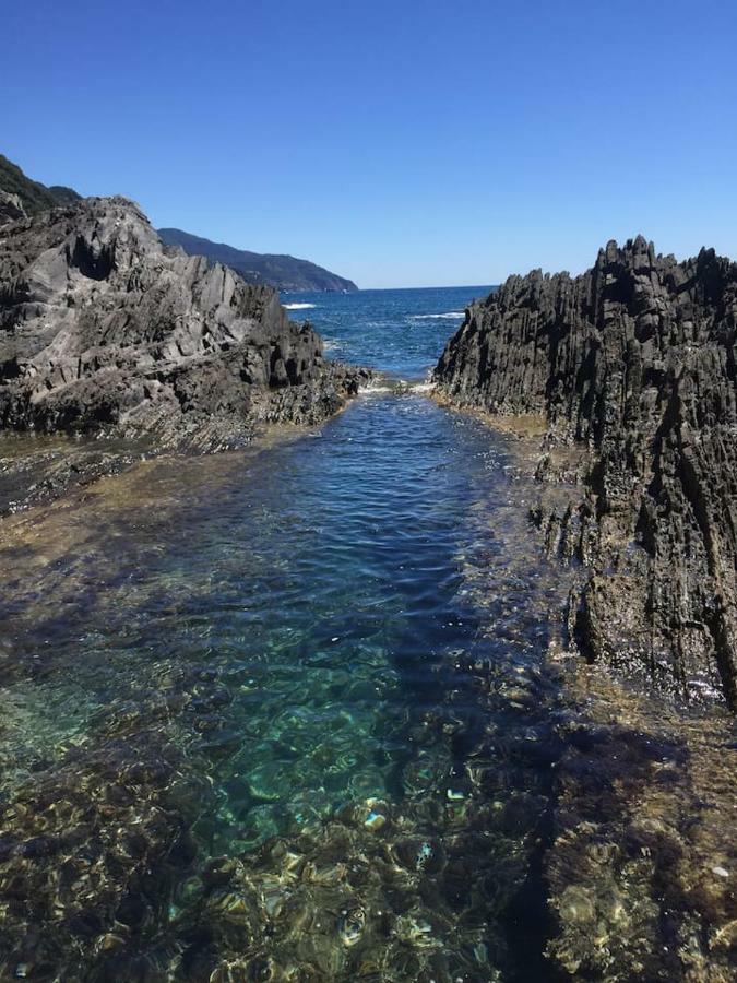 Tavernetta 109 Terrazza Tra Le 5 Terre E Portofino Deiva Marina Eksteriør billede