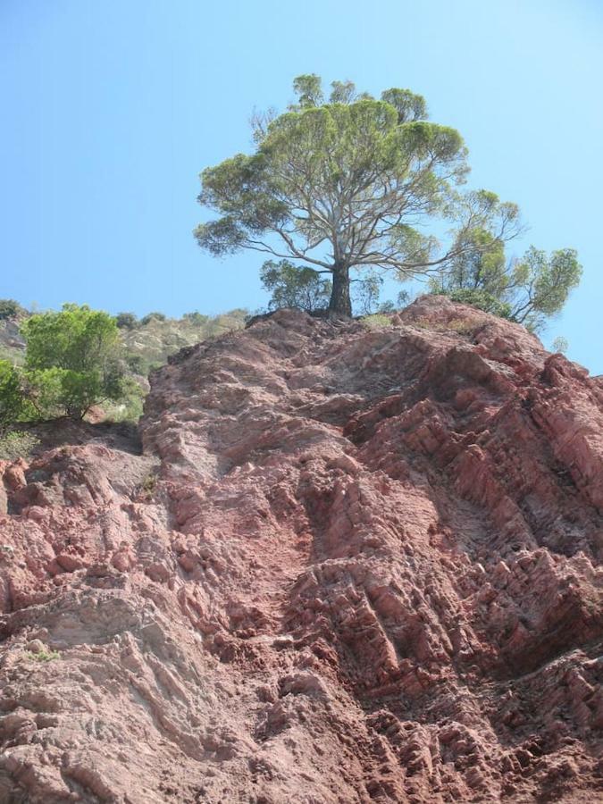 Tavernetta 109 Terrazza Tra Le 5 Terre E Portofino Deiva Marina Eksteriør billede