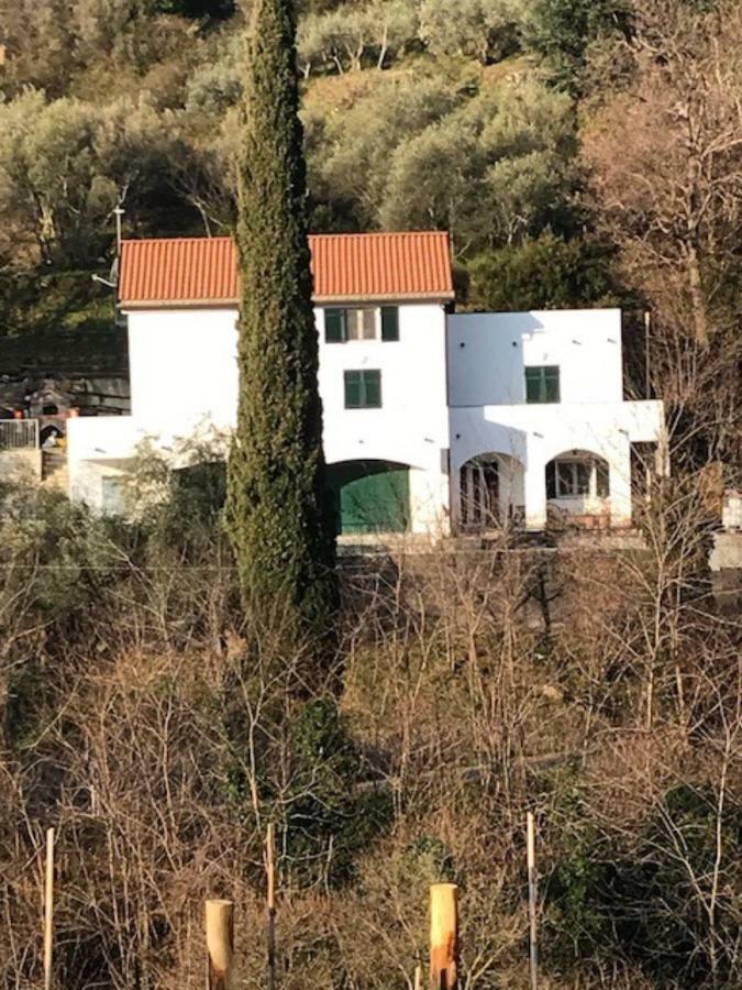 Tavernetta 109 Terrazza Tra Le 5 Terre E Portofino Deiva Marina Eksteriør billede